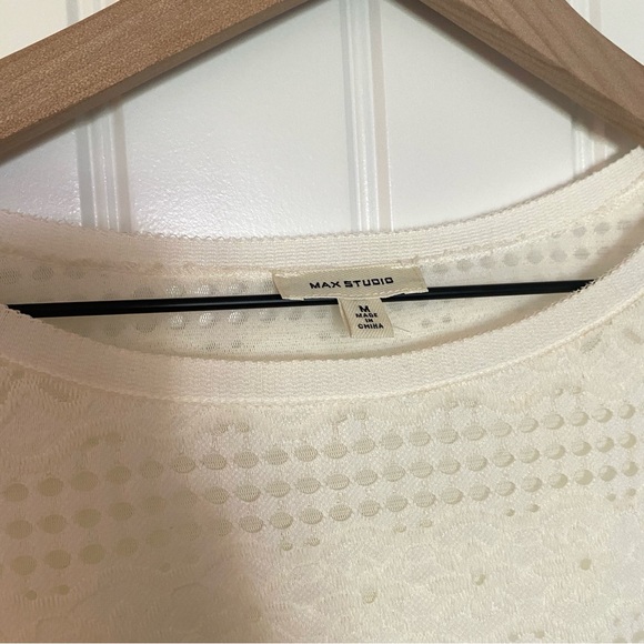 Max Studio Women Semi Sheer Ivory Long Sleeve Eyelet Blouse Size M - Picture 3 of 16